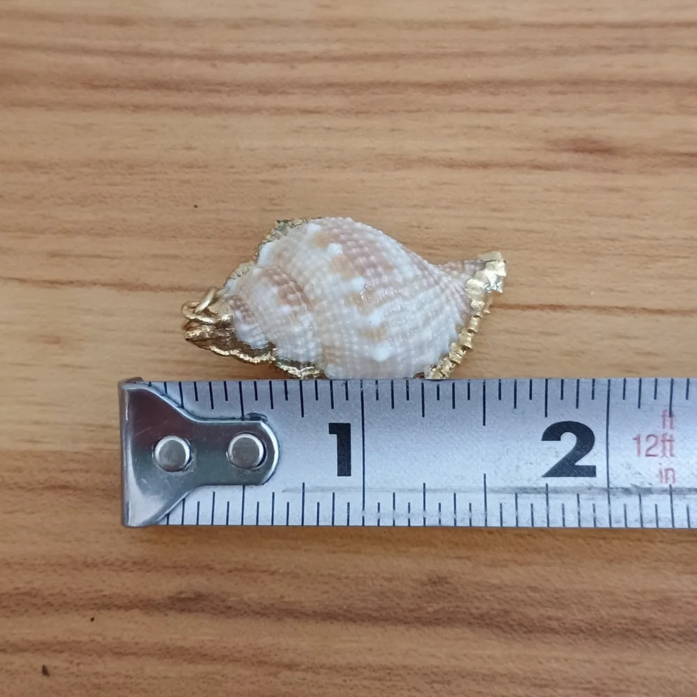 Natural Conch Seashell Pendant Gold Accented Nautical Ocean - Picture 6 of 6